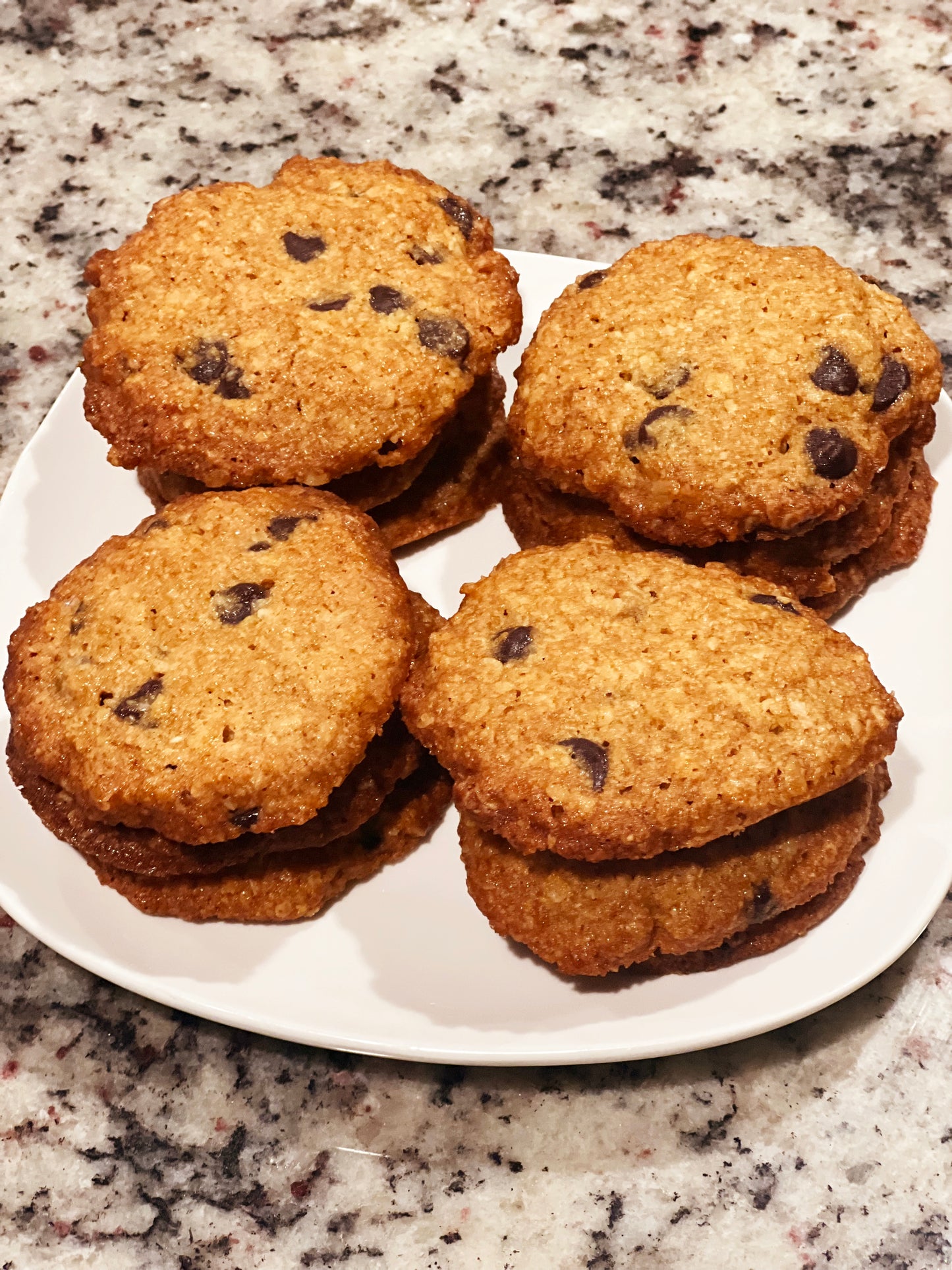 SUGAR-FREE Brown Butter Oatmeal Chocolate Chip Cookies 6 or 12