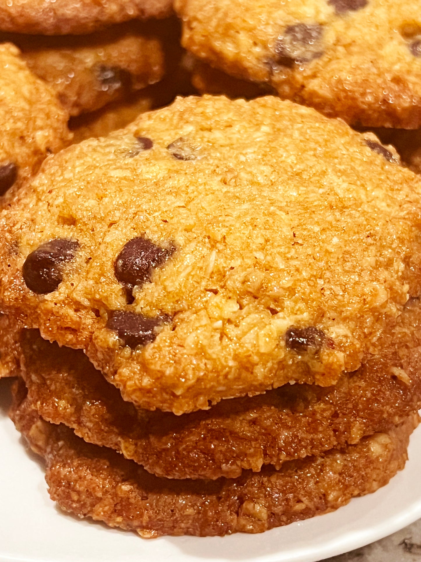 SUGAR-FREE Brown Butter Oatmeal Chocolate Chip Cookies 6 or 12