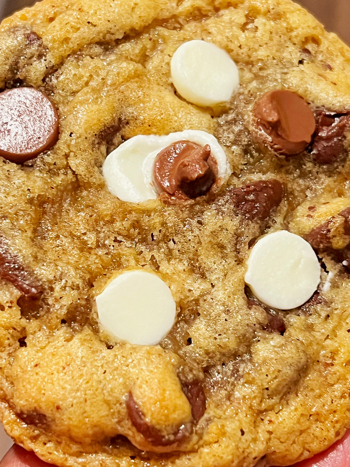 Sourdough Chocolate Chip Cookies